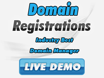 Budget domain name services
